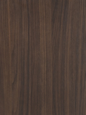 ModernWood Texture