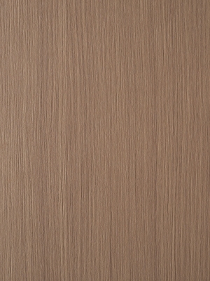 ModernWood Texture