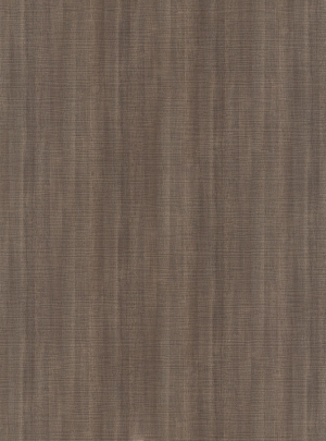 ModernWood Texture