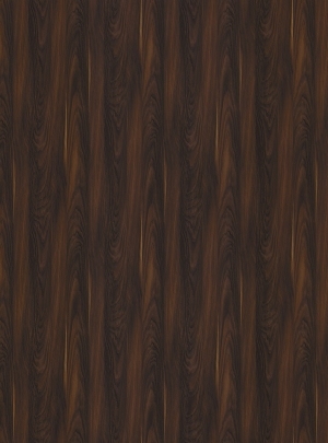 ModernWood Texture