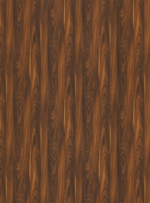 ModernWood Texture