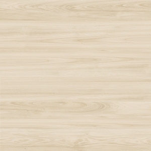 ModernWood Texture