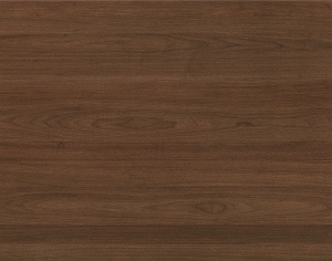 ModernWood Texture