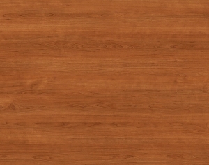 ModernWood Texture