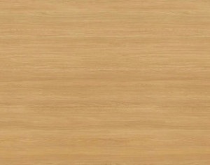 ModernWood Texture