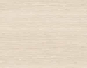 ModernWood Texture