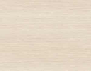 ModernWood Texture