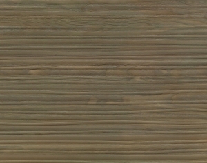 ModernWood Texture