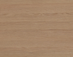 ModernWood Texture