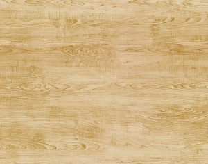 ModernWood Texture