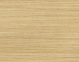 ModernWood Texture