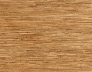 ModernWood Texture