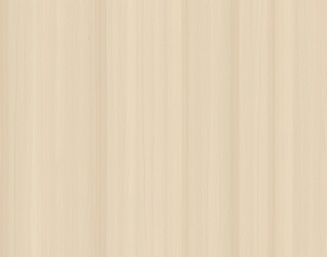 ModernWood Texture