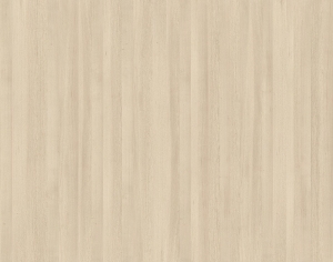 ModernWood Texture