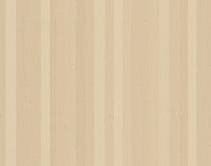 ModernWood Texture