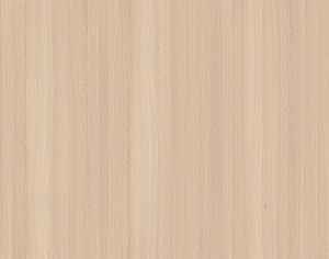 ModernWood Texture