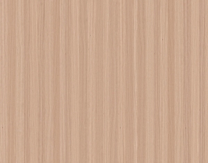 ModernWood Texture