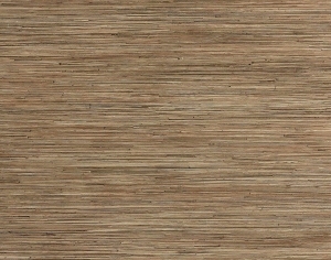 ModernWood Texture