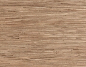 ModernWood Texture