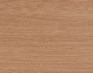 ModernWood Texture