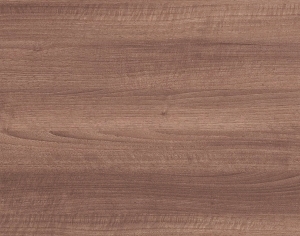 ModernWood Texture