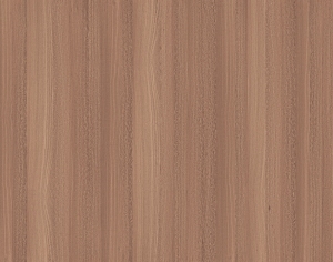 ModernWood Texture