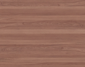 ModernWood Texture