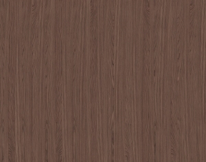 ModernWood Texture