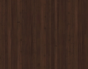 ModernWood Texture