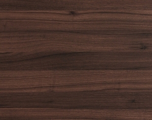 ModernWood Texture