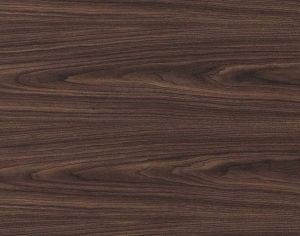 ModernWood Texture