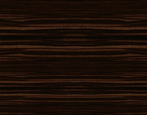 ModernWood Texture