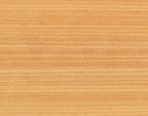 ModernWood Texture