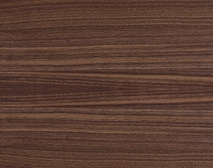 ModernWood Texture