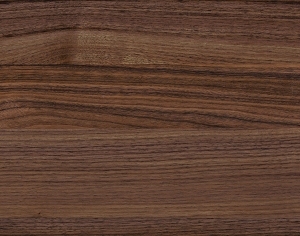 ModernWood Texture