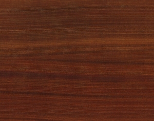 ModernWood Texture