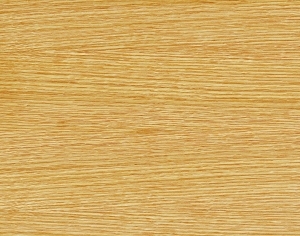 ModernWood Texture