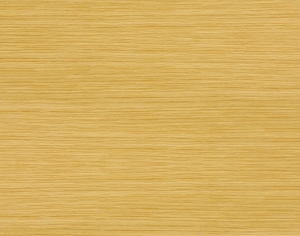 ModernWood Texture