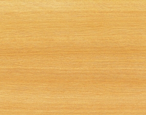 ModernWood Texture