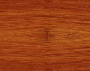 ModernWood Texture