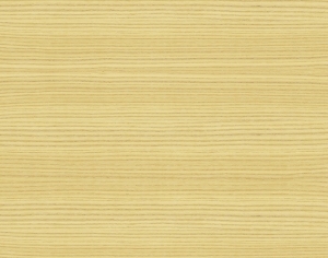 ModernWood Texture