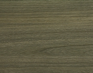 ModernWood Texture