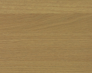 ModernWood Texture