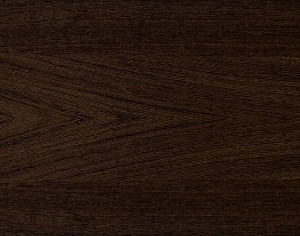 ModernWood Texture