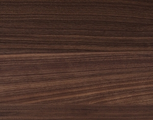 ModernWood Texture