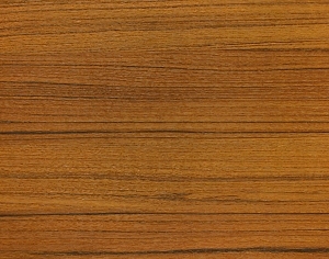 ModernWood Texture