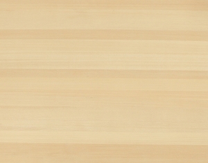 ModernWood Texture