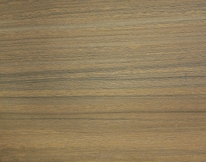 ModernWood Texture