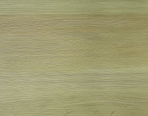 ModernWood Texture