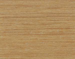 ModernWood Texture